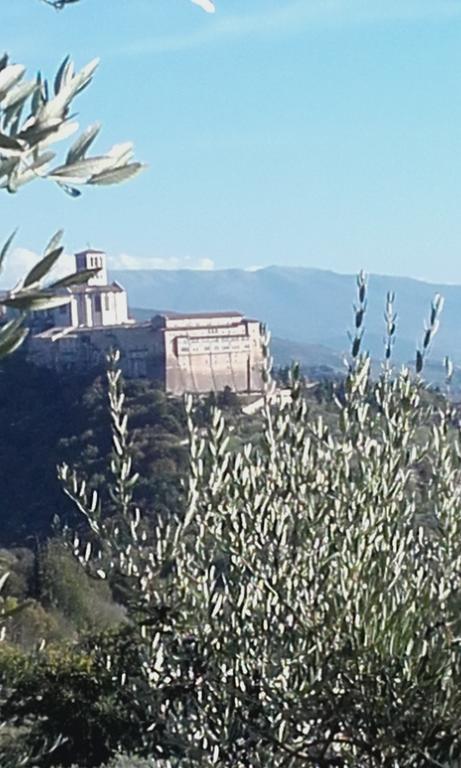 B&B Colle San Francesco アッシジ エクステリア 写真